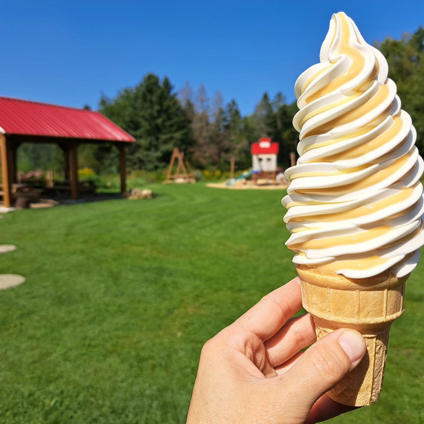Un cornet au soleil
