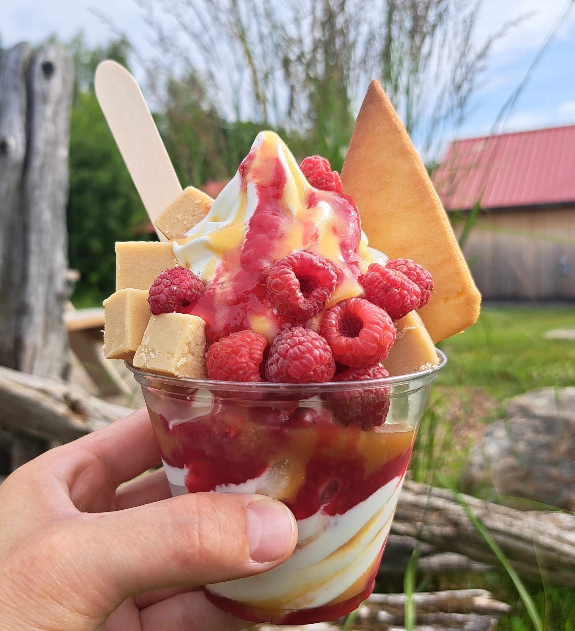 Coupe aux framboises et sucre à la crème