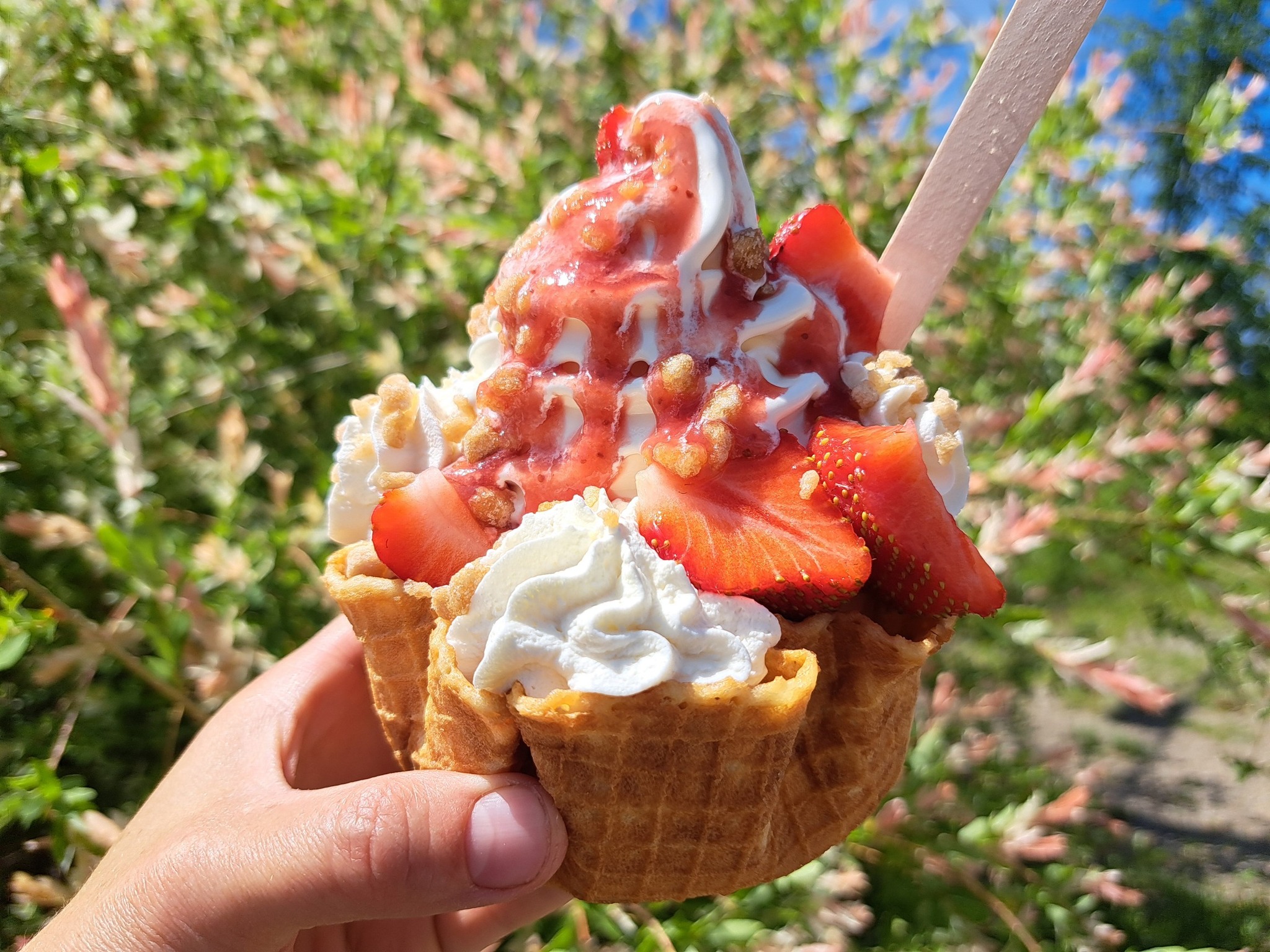 Coupe gaufrée aux fraises