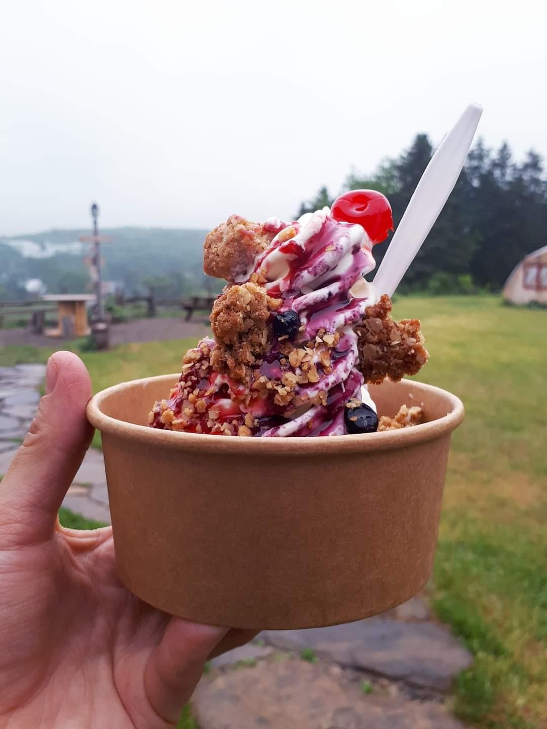 Glace garnie de petits fruits